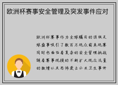 欧洲杯赛事安全管理及突发事件应对